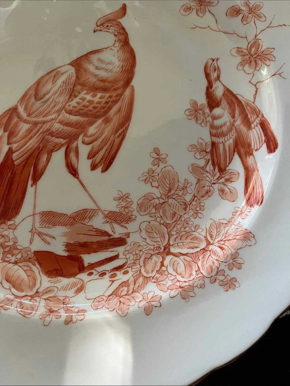 Royal Crown Derby Cream Plate with Bird and Floral Design